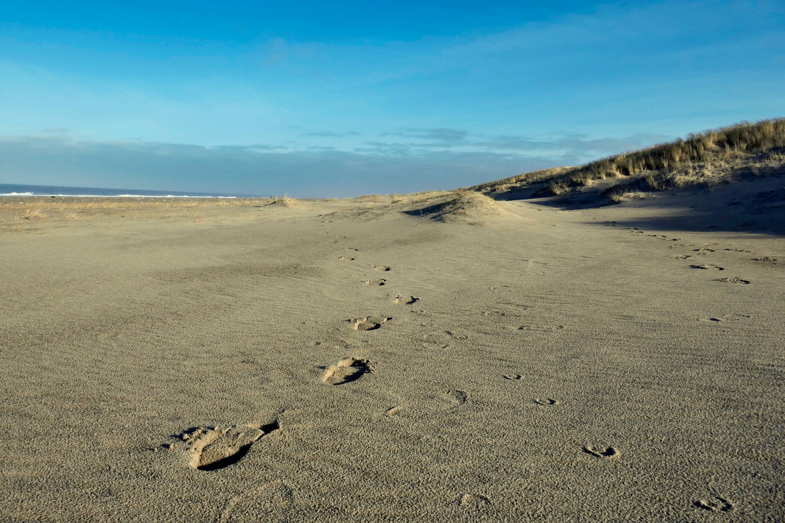 Stranden